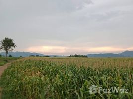  Grundstück zu verkaufen in Kaeng Khoi, Saraburi, Hin Son, Kaeng Khoi, Saraburi