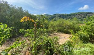 N/A Land for sale in Chalong, Phuket 