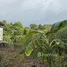  Land for sale in Bang Khu Wiang, Nonthaburi, Bang Khu Wiang, Bang Kruai