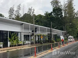 4 Schlafzimmer Restaurant zu vermieten in Kathu, Phuket, Kathu, Kathu