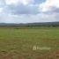  Land for sale in Pak Chong Nakhon Ratchasima, Pak Chong, Pak Chong, Nakhon Ratchasima