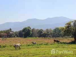  Grundstück zu verkaufen in Mae Rim, Chiang Mai, Mae Raem, Mae Rim