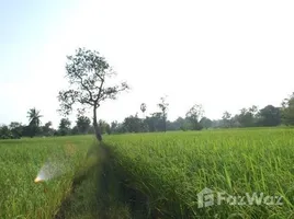  Land for sale in Muang Sam Sip, Ubon Ratchathani, Yang Sak Krapho Lum, Muang Sam Sip