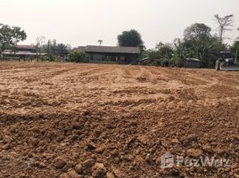 カラシン で売却中 土地区画, フォン, カム・ムアン, カラシン