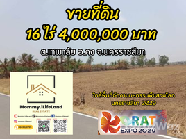  Terreno (Parcela) en venta en Nakhon Ratchasima, Mueang Khong, Khong, Nakhon Ratchasima