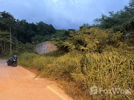 ขายที่ดิน ใน ป่าคลอก, ภูเก็ต, ป่าคลอก