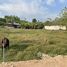  Земельный участок for sale in Thep Krasattri, Пхукет, Thep Krasattri, Тхаланг