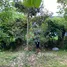  Land for sale in Bang Krang, Nonthaburi, Bang Krang, Mueang Nonthaburi, Nonthaburi