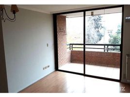 1 Bedroom Apartment for rent at Las Condes, San Jode De Maipo, Cordillera, Santiago, Chile