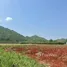  Land for sale in Nong Nam Daeng, Nakhon Ratchasima, Nong Nam Daeng, Pak Chong, Nakhon Ratchasima