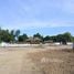  Land for sale in Lamphun, Mueang Nga, Mueang Lamphun, Lamphun