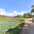  Земельный участок for sale in Lom Sak, Phetchabun, Nong Khwai, Lom Sak