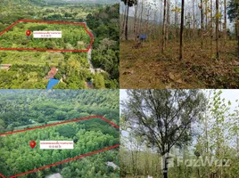 ขายที่ดิน ใน สาริกา, นครนายก, สาริกา, เมืองนครนายก, นครนายก