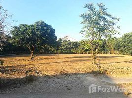 Land for sale in Buak Khang, San Kamphaeng, Buak Khang