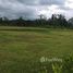  Land for sale in Limon, Pococi, Limon