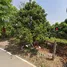 Land for sale in Mueang Lamphun Lamphun, Rim Ping, Mueang Lamphun