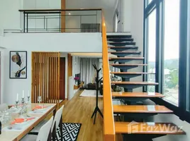 คอนโด 1 ห้องนอน ให้เช่า ในโครงการ วิลล่า ฟลอร่า เชียงใหม่, หนองควาย, หางดง, เชียงใหม่