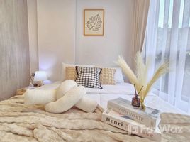 คอนโด 1 ห้องนอน ให้เช่า ในโครงการ แอทโมซ คาแนล รังสิต, บางพูน, เมืองปทุมธานี