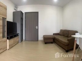 1 Bedroom Condo for rent at Supalai Veranda Ramkhamhaeng, Hua Mak, Bang Kapi, Bangkok