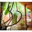 2 chambre Maison for sale in Compostela, Nayarit, Compostela