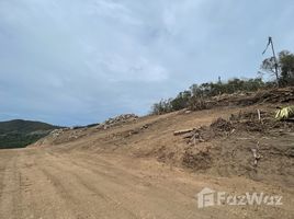 在素叻出售的 土地, 波普托, 苏梅岛, 素叻