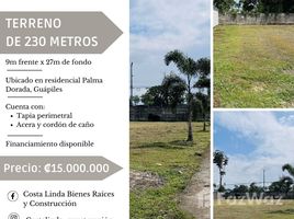  Terreno (Parcela) en venta en Limón, Pococi, Limón