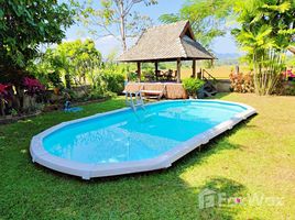 3 Bedroom House for sale in Mueang Chiang Rai, Chiang Rai, Pa O Don Chai, Mueang Chiang Rai