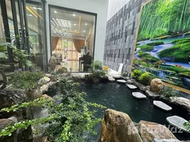 4 Schlafzimmer Haus zu vermieten im Euro Village 2, Hoa Thuan Tay