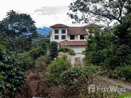 2 Habitación Villa en venta en Los Naranjos, Boquete, Los Naranjos