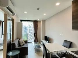 คอนโด 1 ห้องนอน ให้เช่า ในโครงการ ปาล์ม สปริงส์ นิมมาน ฟีนิกซ์, สุเทพ, เมืองเชียงใหม่, เชียงใหม่