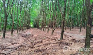 N/A Land for sale in Nam Kaen, Nan 