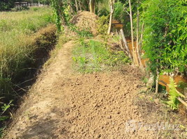N/A Land for sale in Inthakhin, Chiang Mai 1-1-78 Rai Land in Inthakhin for Sale