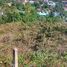  Land for sale in Koh Samui, Bo Phut, Koh Samui