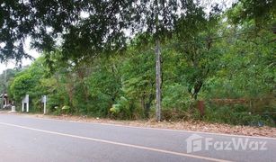 N/A Land for sale in Pa Khlok, Phuket 
