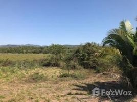  Земельный участок for sale in Nayarit, Compostela, Nayarit