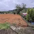  Land for sale in Si Sunthon, Phuket, Si Sunthon, Thalang, Phuket, Thailand