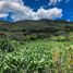 N/A Land for sale in Quinara, Loja Quinará - Vilcabamba, Loja, Address available on request