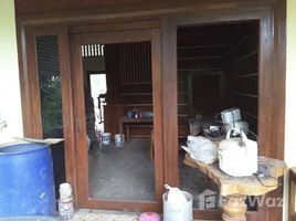 3 спален Дом for sale in Klang Wiang, Wiang Sa, Klang Wiang