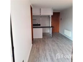 1 Bedroom Apartment for rent in San Jode De Maipo, Santiago Las Condes