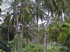  Land for sale in Bo Phut, Surat Thani, Bo Phut, Koh Samui