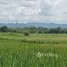 2 Bedroom House for sale in Pa Tan, Lampang, Pa Tan, Mae Tha, Lampang, Thailand