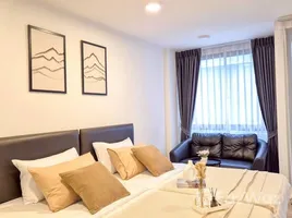 คอนโด 1 ห้องนอน ให้เช่า ในโครงการ ชาโตลว์ อินทาวน์ ปิ่นเกล้า, อรุณอมรินทร์, บางกอกน้อย