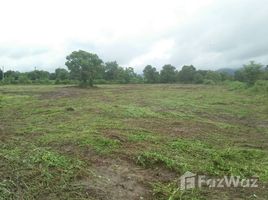 N/A Land for sale in Pa O Don Chai, Chiang Rai 5 Rai Land For Sale In Chiang Rai