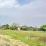  토지을(를) FazWaz.co.kr에서 판매합니다., 삼만 쥐, Doi Saket, 치앙마이, 태국