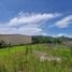  Land for sale in Atenas Alajuela, Atenas