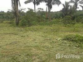  Terrain for sale in Amazonas, Rio Preto Da Eva, Amazonas