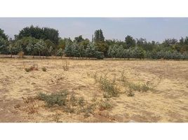  Terreno (Parcela) en venta en Colina, Colina