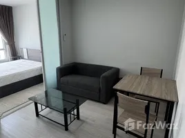 คอนโด 1 ห้องนอน ให้เช่า ในโครงการ รีเจ้นท์ โฮม สุขุมวิท 81, สวนหลวง, สวนหลวง, กรุงเทพมหานคร