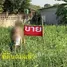  Land for sale in Thailand, Ban Mai, Pak Kret, Nonthaburi, Thailand