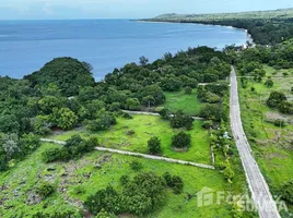  토지을(를) Sumba Timur, 이스트 누사 텐가라에서 판매합니다., Sumba Timur